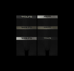 LUXXFORM BOXER BRIEF SIX-PACK