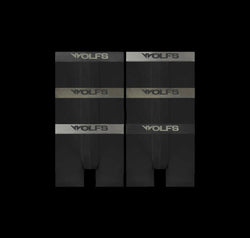 LOT DE SIX BOXERS LUXXFORM