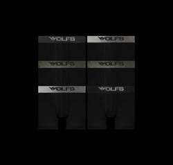 LUXXFORM BOXER BRIEF SIX-PACK
