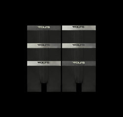 LOT DE SIX BOXERS LUXXFORM